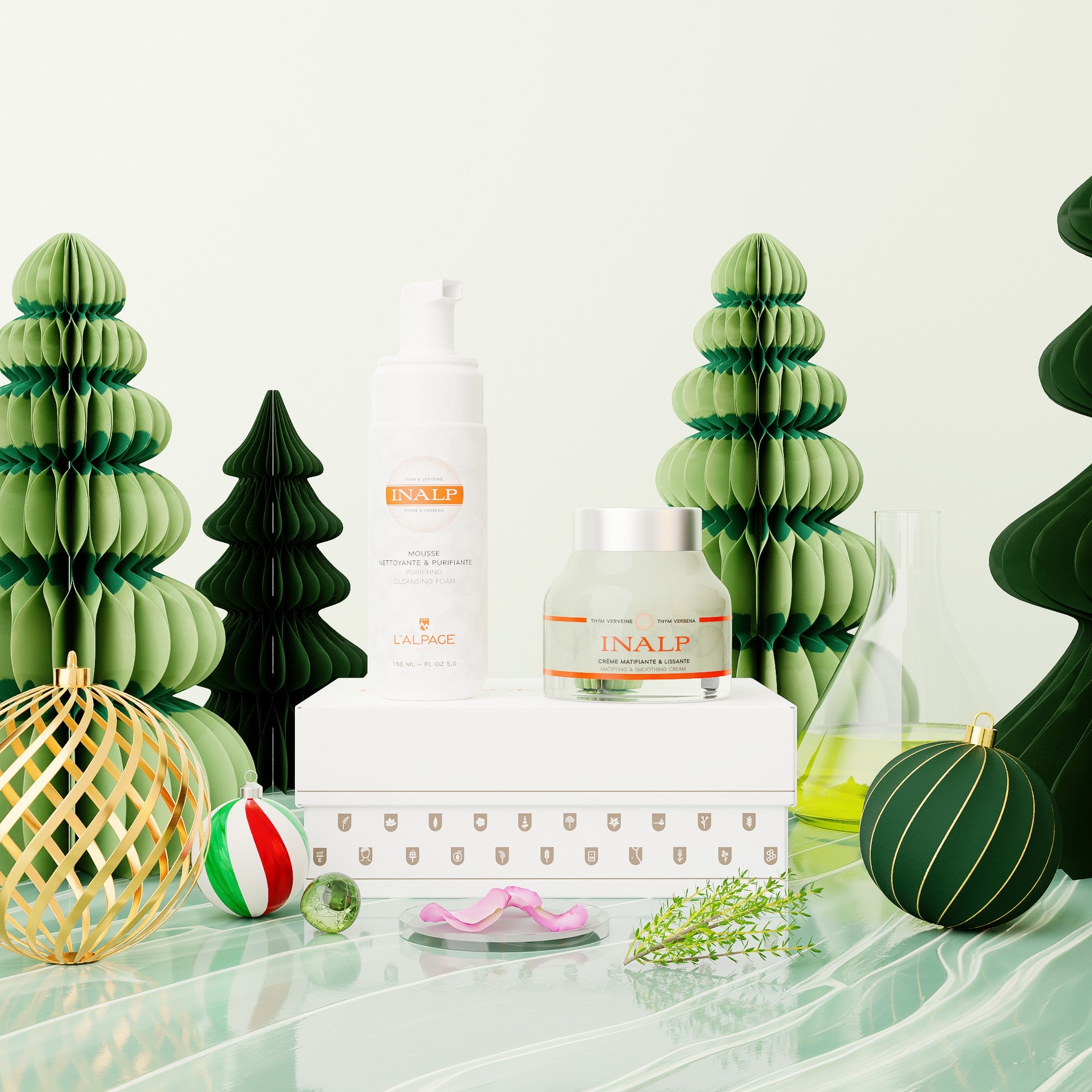 Geschenkset oder Geschenkbox mit mattierender und glättender Creme und Reinigungsschaum <tc>Inalp</tc>